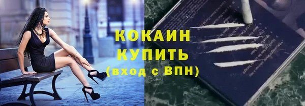 шишки Богородицк