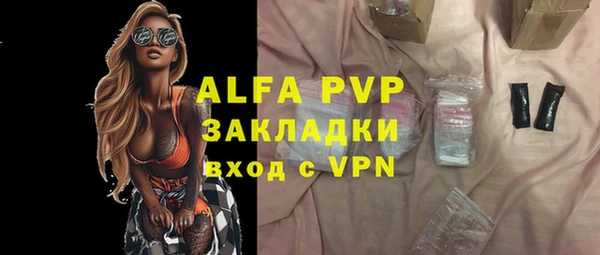индика Бугульма