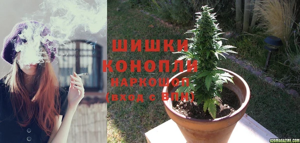 mdpv Бородино
