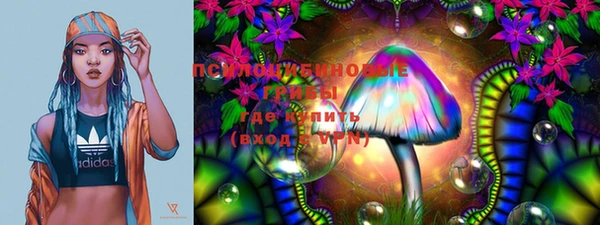 индика Бугульма