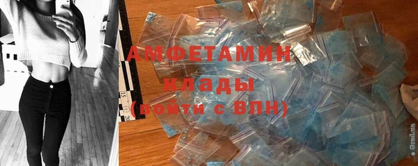 индика Бугульма