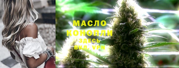 mdpv Бородино